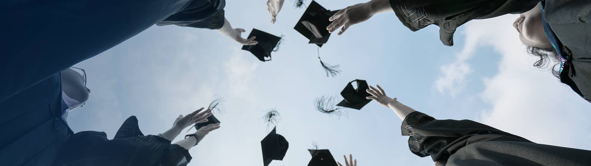 培訓(xùn)發(fā)展